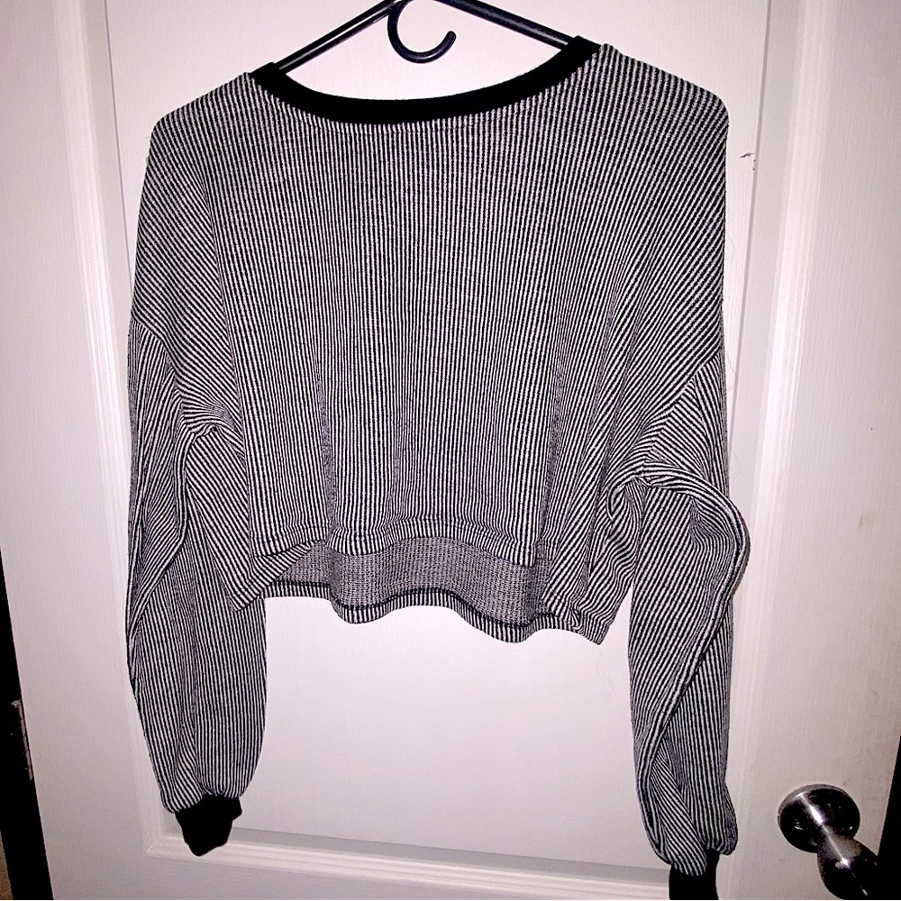 Wild fable cropped sweater